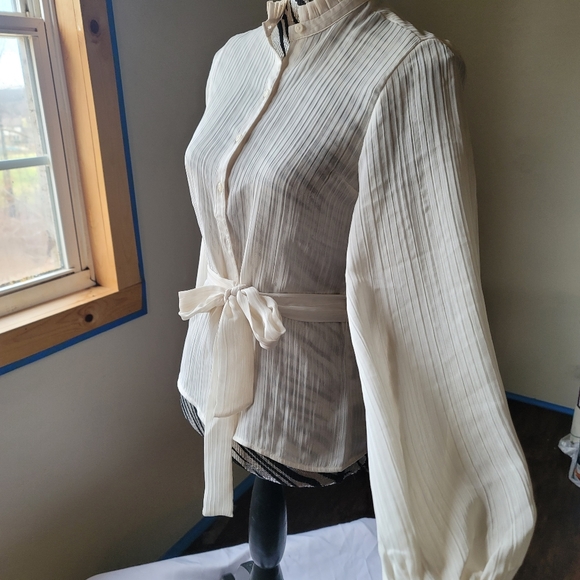 BRAND NEW, Express XXS swan button down blouse with hip tie - Picture 2 of 12